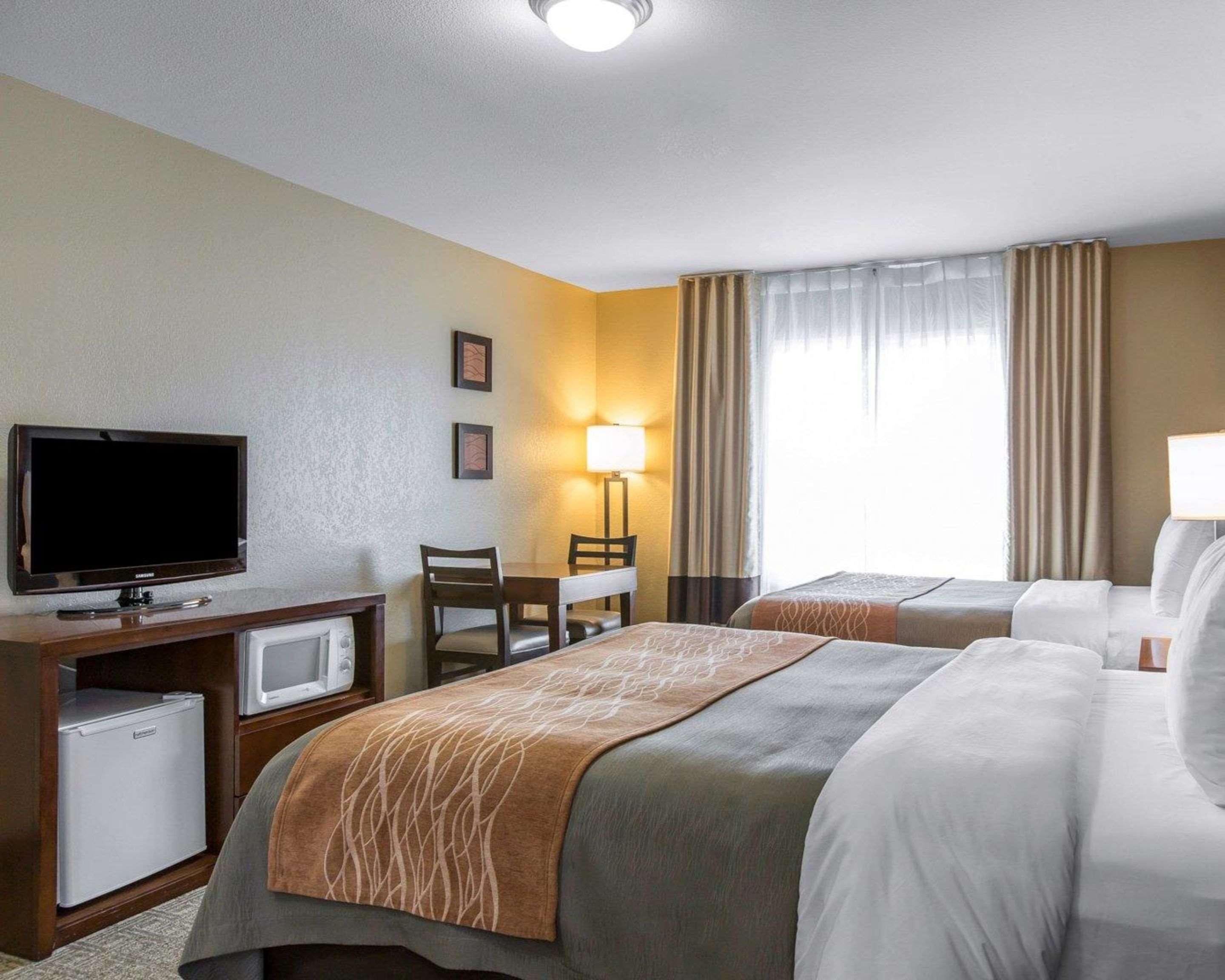 Comfort Inn&suites Hotel